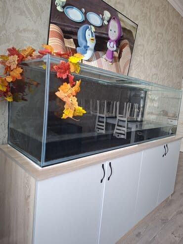 Boş, 560 l, Ünvandan götürmə lalafo.az -da Boş, 560 l, Ünvandan götürmə