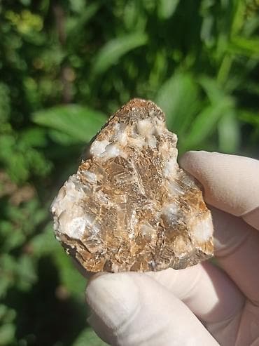 Milyon İllik Tarixi Fosil 💎 Daşlaşmış Ağac ( Petrified Wood ) 🪵 ✨ Bu — 8