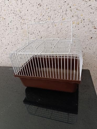 xaski balaları: Balaca qəfəs 5man — 1