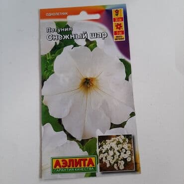 nərgiz gülü satışı: Məhsul: Petunya toxumları – AELITA (keyfiyyət zəmanəti) Dəst tərkibi — 1