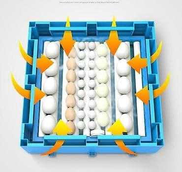 ınqbator: Çin, Fabrik istehsalı, Tam avtomat, Bütün növ quşlaq üçün — 5