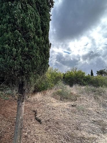 zirede torpaq: 24 sot, Tikinti, Mülkiyyətçi, Kupça (Çıxarış) — 3