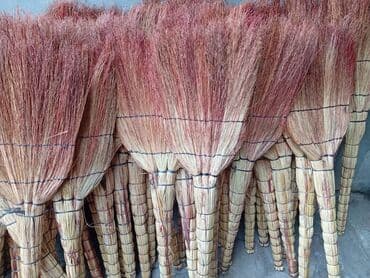 Otaq bitkiləri: Qiymət 2.4 azn.Topdan satış.Ünvan Qazax rayonu,çatdırılma istənilən — 1