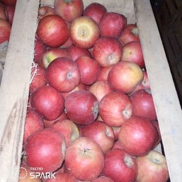 iki bolmeli tava: 20ton alma var sort Циканка maraqlanan — 3