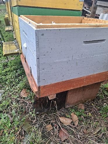 toyuq su qabı: Qiymet 35 manat . 2 mertebeyle 45 manat 10 eded var . unvan zaqatala — 1