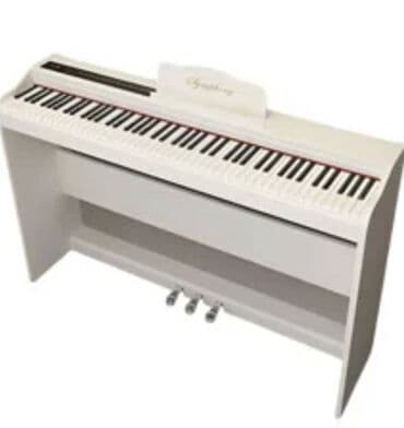 şəxsi əşya: Elektro Pianino Səs - yüksək keyfiyyətli piano səsindən istifadə — 2