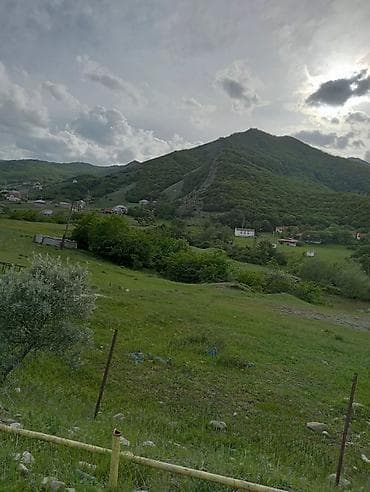 350 sot, Kənd təsərrüfatı, Makler, Kupça (Çıxarış)