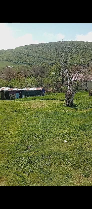 yeni emlak ucuz kiraye evler: Kənd təsərrüfatı — 3