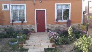 Buzovna vişnovka .Tam dolu satlir eşyalarla birlikde