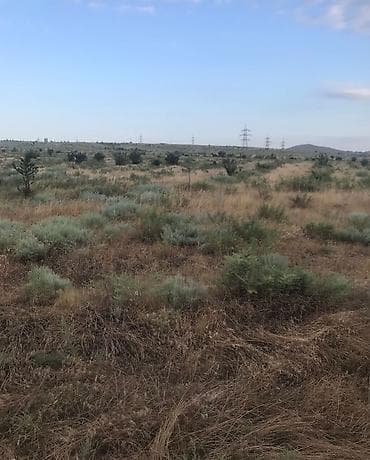 bine sovxoz evler: 100 sot, Kənd təsərrüfatı — 3