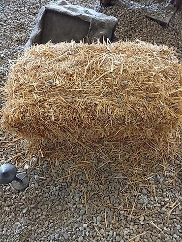 Digər heyvanlar: Saman balyaları - Material: təbii taxıl samanı - Forma: düzbucaqlı və — 2