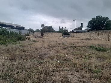 45 sot, Tikinti, Mülkiyyətçi, Kupça (Çıxarış) — 8