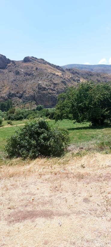 аренда и продажа недвижимости: Əkin sahəsi kənd təsərrüfatı fəaliyyəti üçün geniş imkanlar təklif — 7