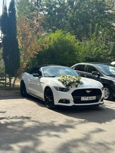 gence lenkeran avtobus: Toy, Nişan və digər tədbirlər üçün sifariş edə bilərsiz. ( Qiymət — 7