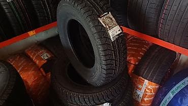 minik: Yeni Şin Lassa 175 / 70 / R 13 — 3
