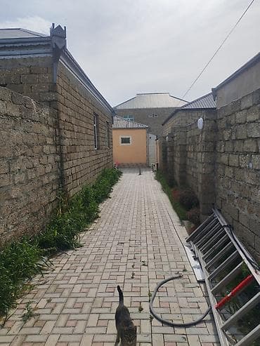 kireditle heyet evleri: Tam mebellə döşənmiş həyət evi - Planlama: geniş qonaq otağı, 3 yataq — 5