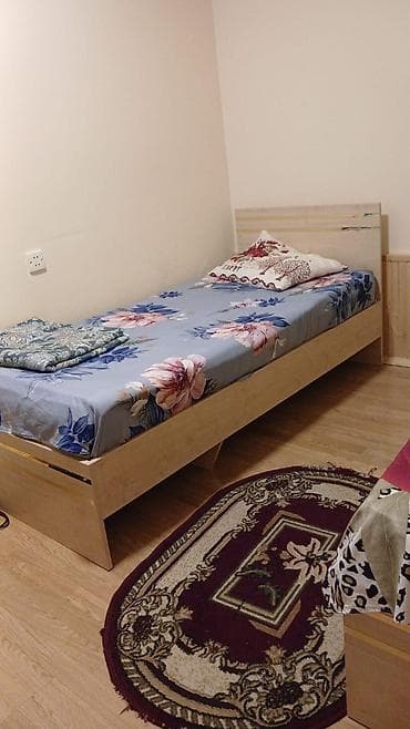 deriz sex: Kirayə üçün kiçik, səliqəli mənzil/studiya - Mətbəx: qaz plitəsi (4 — 2