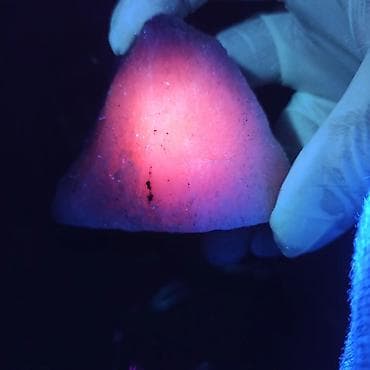 nerd sekilleri: Nadir Təbii Daş Satılır | Uv Floresan - Yaqut, Safir, Şpinel, Süd — 10