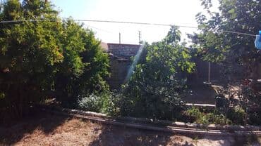 qaracuxurda ev: 130 kv. m, 3 otaqlı — 4