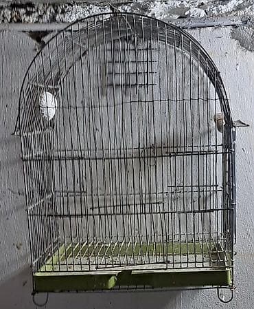 qara it sekilleri: Quş qəfəsləri və volyerlər dəsti - Böyük metal volyer: möhkəm məftil — 2