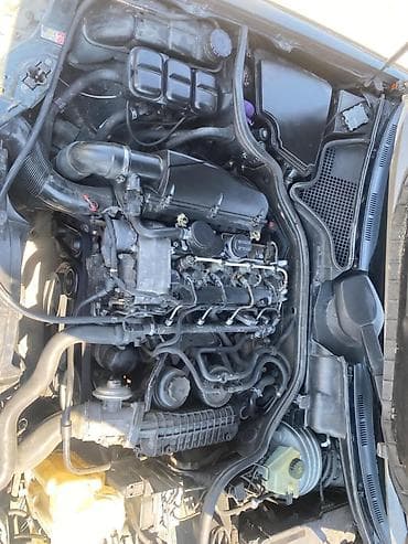 siqaret tutunu: Mercedes-Benz E‑Class (W210) sedan - Korpus: qara/yaşıl tünd rəngli — 3