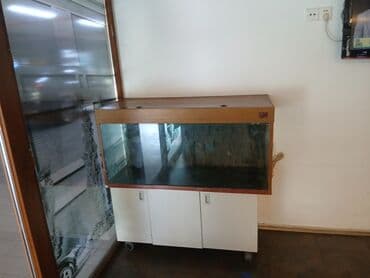 ağ balıq: Akvaryum dəsti – şkaflı - Şüşə akvaryum, ön və yan tərəflər şəffaf — 4