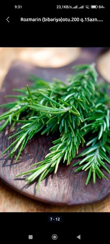 Təzə rozmarin (bibəriyyə otu), ətirli və dadlı. Yeməklərə əlavə etmək