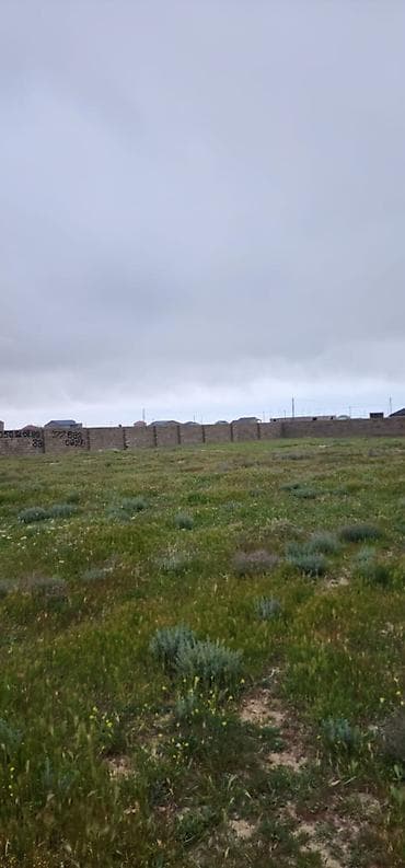 gence tap az: 5 sot, Tikinti, Mülkiyyətçi, Kupça (Çıxarış) — 2