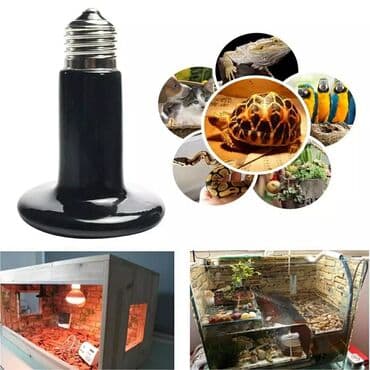 lapa led: Qizdirici Keramik lampa Bruder ucun qizdirici lampa 25W - 9 azn 50 — 1