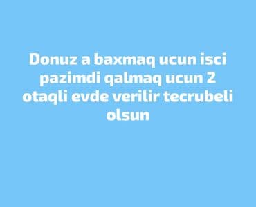 Fəhlə tələb olunur, 1-2 illik təcrübə, Dəyişən qrafik, Aylıq ödəniş