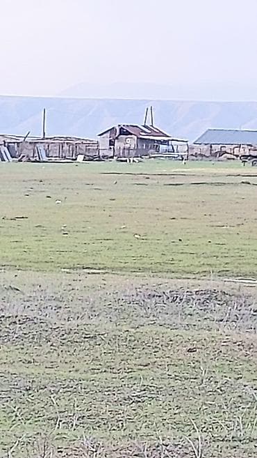 bulbulede torpaq: 20000 sot, Kənd təsərrüfatı, Kupça (Çıxarış) — 5