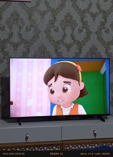 led tv: Televizor ekran 108 eni 55 işlənmiş Hoffman heç bir prablemi yoxdur — 2