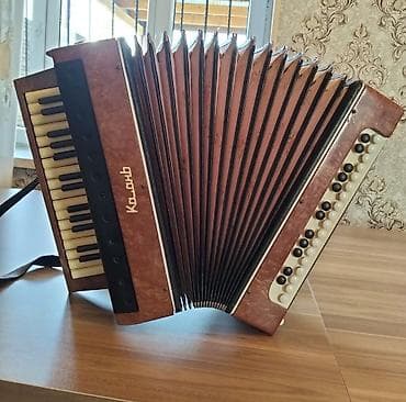 Musiqi alətləri: Akustik Akkordeon — 2