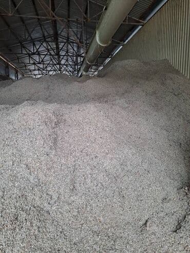 simental inek qiymeti: Yüksək keyfiyyətli çiyid. Hal-hazırda məhsul çoxdur. İri həcmli — 3