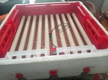 Biznes üçün avadanlıq: Yumurta inkubatoru – avtomatik idarəetmə paneli ilə - Material — 3
