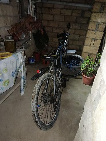 Dağ/şəhər tipli velosiped - Geniş, dişli təkərlər: palçıq və asfalt