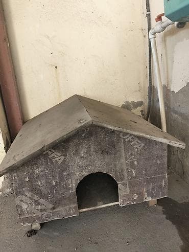 pişiy yuvası: Taxta pişik evi – 2 ədəd ikisi birlikdə 50 azn Məhsul təsviri: - — 3