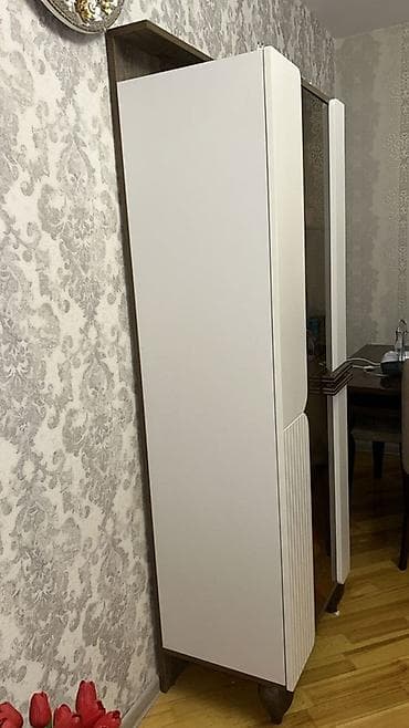 Şüşəli dolab vitrini