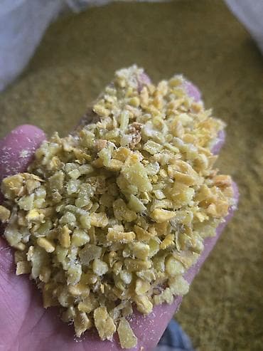 тор сетка: Məhsul: Plastik qırıntısı (PP və HDPE qarışığı) – yeşil və mavi — 9