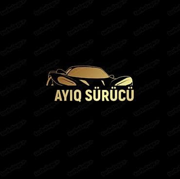 elit park taksi: Ayıq sürücü, 49 yaş, stajı 10 il, (C) — 1