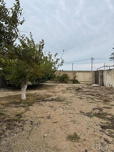 5 sot, Tikinti, Makler, Kupça (Çıxarış) — 4