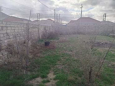 2 sot yarımnan çoxdu maşınla barterə üstünlük verilir