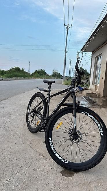 Şəhər velosipedi 29"