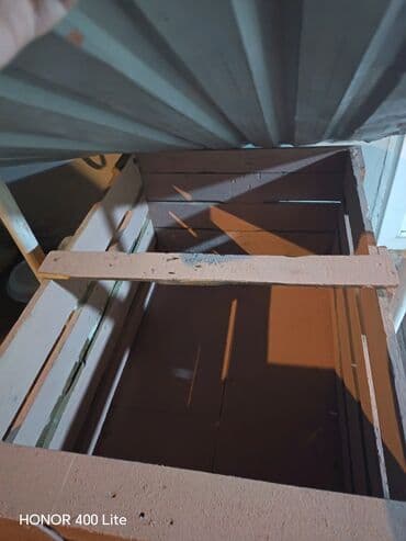 Yemlər: Heyet evinize gözəlik qatacaq heyvan yuvası ister it veya toyuq — 1