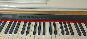 sintezator tecili satilir: Piano, Rəqəmsal — 3