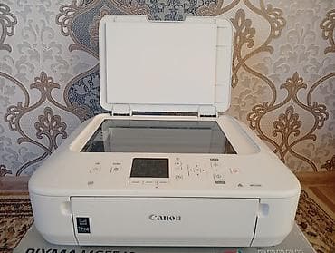 çanta: Canon PIXMA MG5540 – çoxfunksiyalı rəqəmsal printer - Funksiyalar — 1