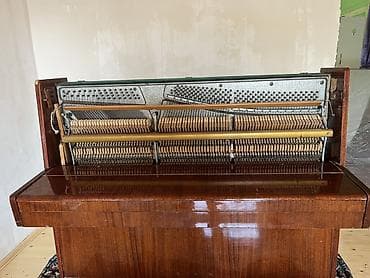 belarus 892: Piano, Belarus, Akustik, İşlənmiş, Ünvandan götürmə — 3