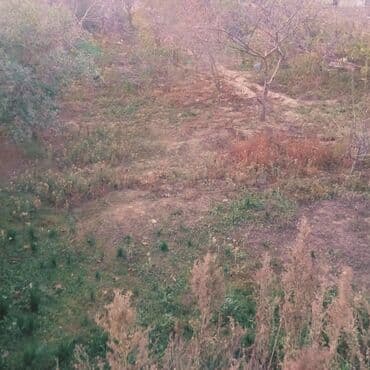 milyonerlər məhəlləsi: 3 sot, Tikinti — 2