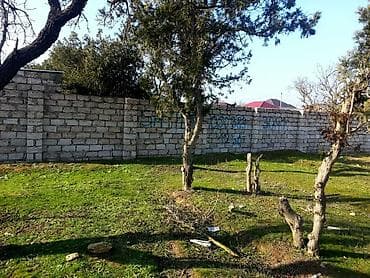 Torpaq: 12 sot, Kənd təsərrüfatı, Mülkiyyətçi — 5