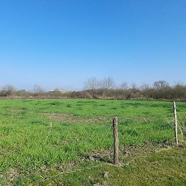 Квартиры: 6 соток, Для строительства, Собственник, Купчая, Техпаспорт — 4